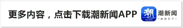 仪态翩翩, 仅是一种健