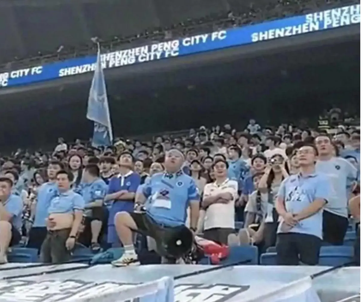 任保护自家